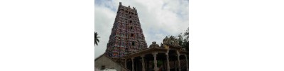 221. திருவதிகை